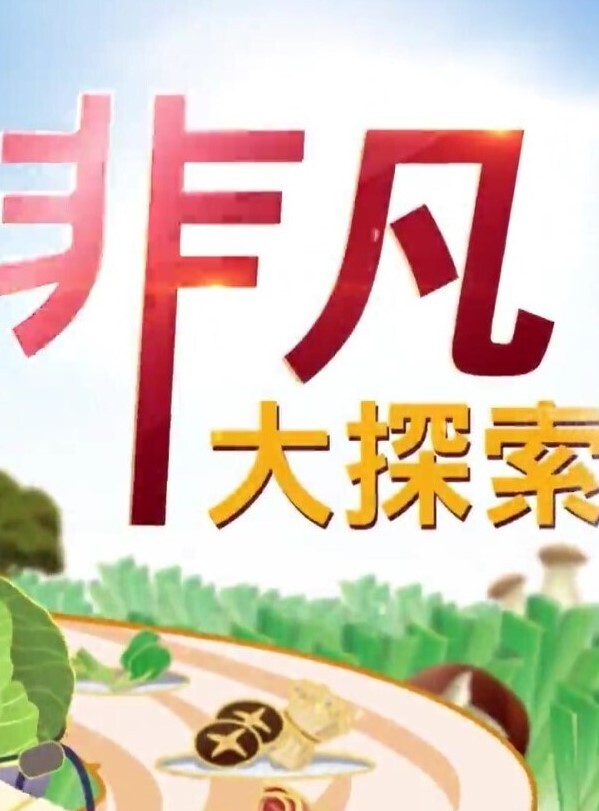 新流出酒店偷拍和媳妇闺蜜开房偷情各种姿势草简直就是活春宫 - 性爱小电影